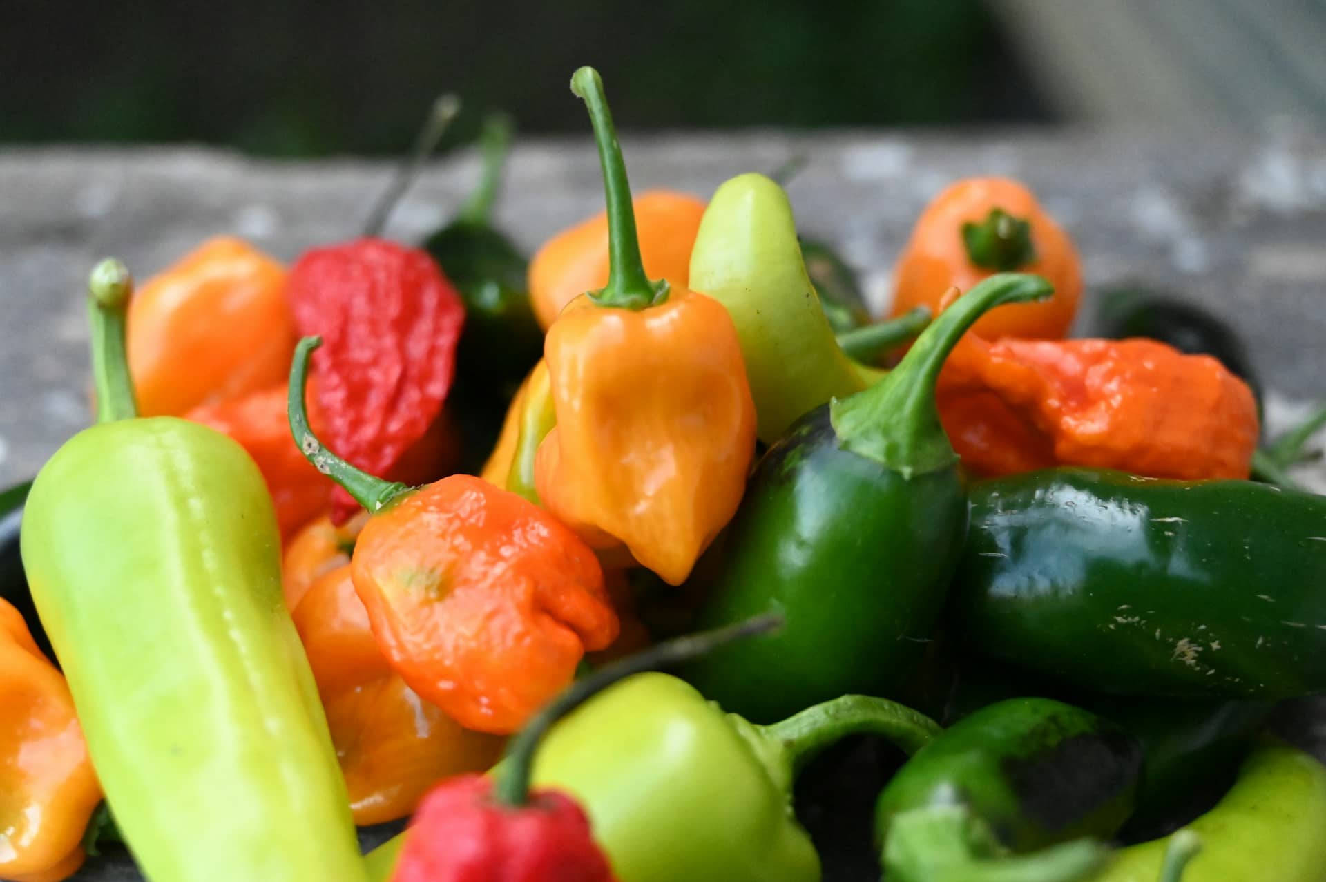 different hot pepper varieties on a table