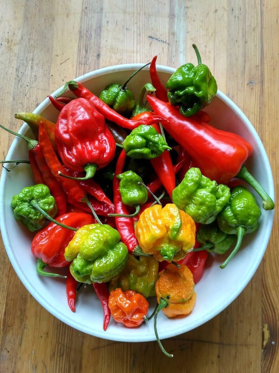 a bowl of scorpion peppers and habañero peppers